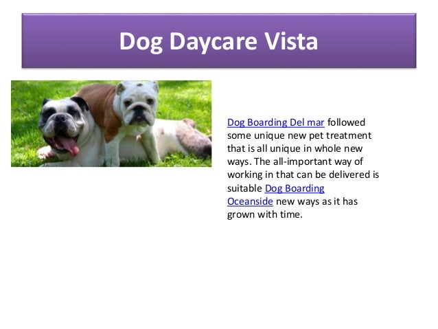 dog boarding encinitas dog boarding encinitas
